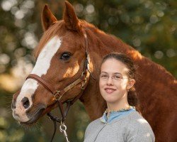 broodmare Duman (German Riding Pony, 2002, from Going Top)