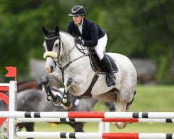 jumper Haupouri Evandro (New Zealand Warmblood, 2013, from Quool du Bois Margot)