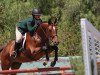 jumper Caracas 106 (Hanoverian, 2013, from Charilan)