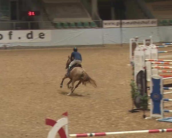 Reitturnier Kreuth 2025