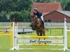 jumper Calixaren (Oldenburg show jumper, 2015, from Christian 25)