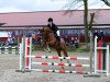 dressage horse Joy's Design (German Riding Pony, 2008, from Dance of Joy W)