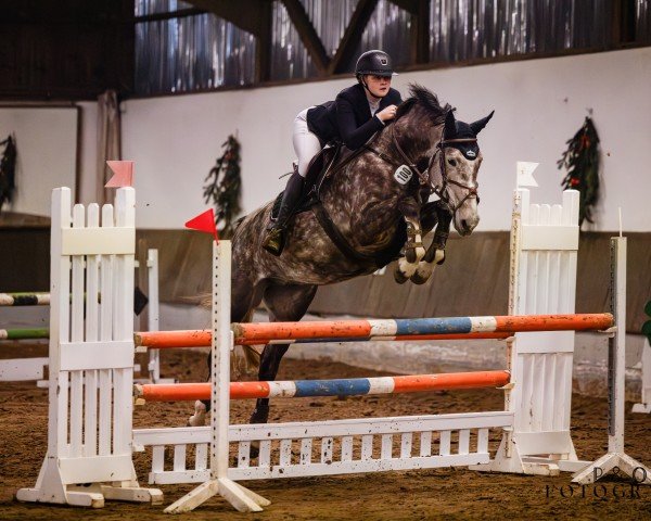 jumper Quadira's Quality (Westphalian, 2020)