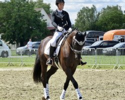 dressage horse Filigree (Hanoverian, 2015, from Finest)