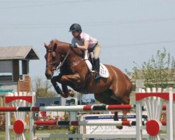 horse Muskateer (New Zealand Warmblood, 1999, from Cabdula du Tillard)