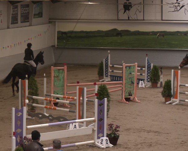 Reitturnier Legden 2025