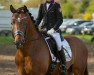 dressage horse Reitland's Obama (German Riding Pony, 2011, from High Flow's Oxford)