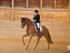 dressage horse Donna Rubina 2 (Oldenburg, 2010)