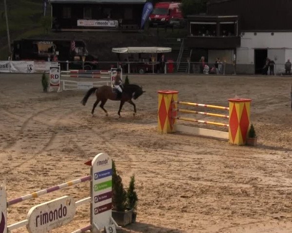 Großes Springturnier Siegener Reitverein 2013