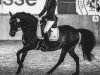 broodmare Sissi 840 (German Riding Pony, 2013, from King William)