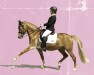 dressage horse Deejay 14 (German Riding Pony, 2012, from Dimension AT NRW)