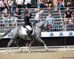 stallion Sietlands Future (German Riding Pony, 2017, from Future Dream)