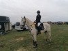 jumper Knight Shadow (Connemara Pony, 2010, from Shadow's Dun)