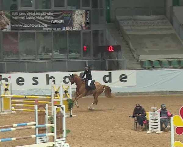Reitturnier Kreuth 2025