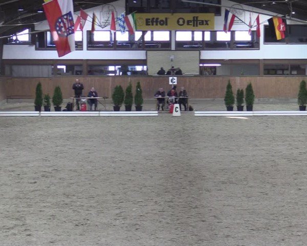 Reitturnier Oelde-Geisterholz 2025