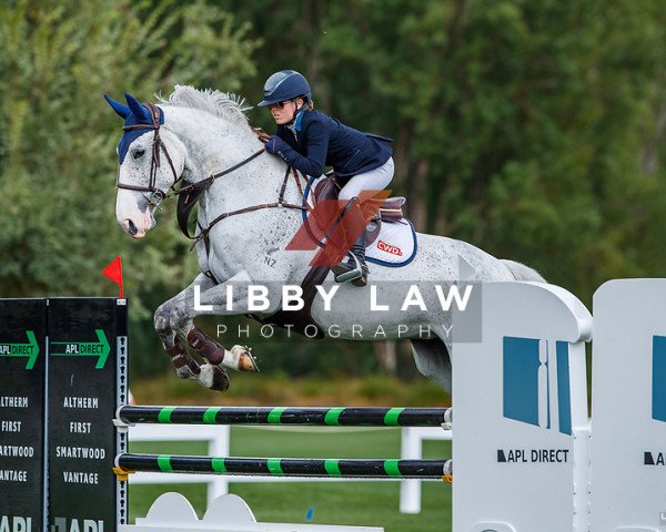 jumper Cherokee (New Zealand Warmblood, 2011, from Quool du Bois Margot)