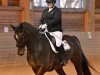 dressage horse Fürst Ernst (Hanoverian, 2015, from Fürst Belissaro)