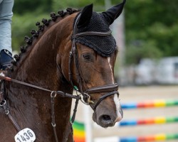 jumper Von Herzen 9 (Hanoverian, 2017, from Vitalis)