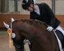 dressage horse Balotelli B (Hanoverian, 2012, from Brentano II)