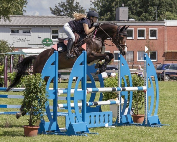 jumper Chacco di Monti (Hanoverian, 2019, from Chacfly PS)