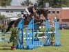 jumper Chacco di Monti (Hanoverian, 2019, from Chacfly PS)