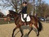 dressage horse Bonnibee (KWPN (Royal Dutch Sporthorse), 2006)