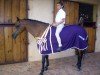 dressage horse Foresyte Penny (Welsh Mix, 1997)