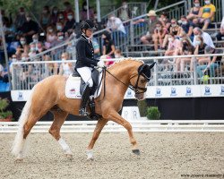 dressage horse Herzzauber D (Deutsches Reitpony, 2017, from Herzkoenig NRW)