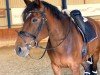 dressage horse Peterslyst's Masi (Danish Warmblood, 2007)