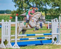 jumper Noncherino (German Riding Pony, 2009, from Nuts)