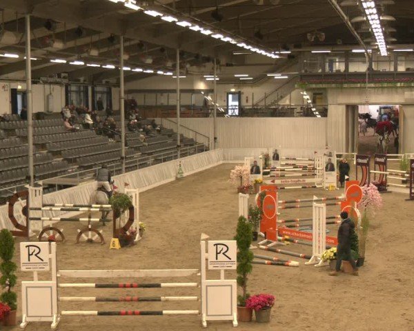 Reitturnier Verden 2025