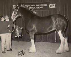 broodmare Liberty Knolls Jacqueline (Clydesdale, 1997, from Live Oak Grandeur)