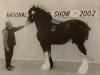 stallion Bratlach Refiner (Clydesdale, 1997, from Brockloch Majestic)