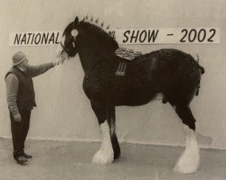 stallion Bratlach Refiner (Clydesdale, 1997, from Brockloch Majestic)