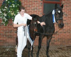 broodmare Mandy (German Riding Pony, 1993, from Apslau xx)