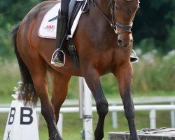 Springpferd Gigantin (Österreichisches Warmblut, 2019, von Seven Up)