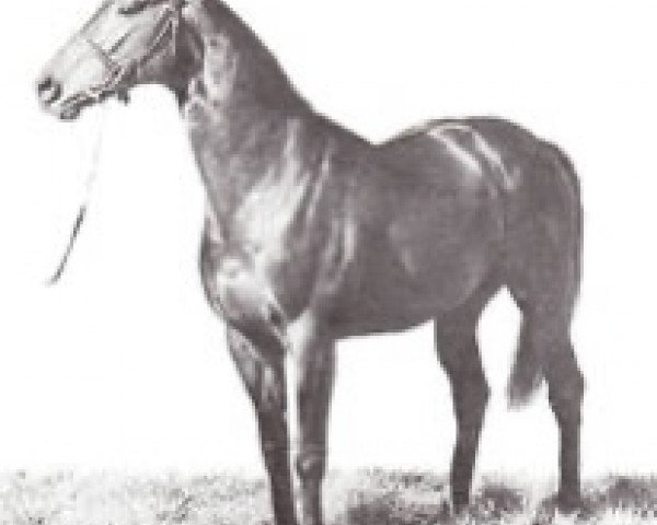 stallion Greek God xx (Thoroughbred, 1964, from Parthia xx)