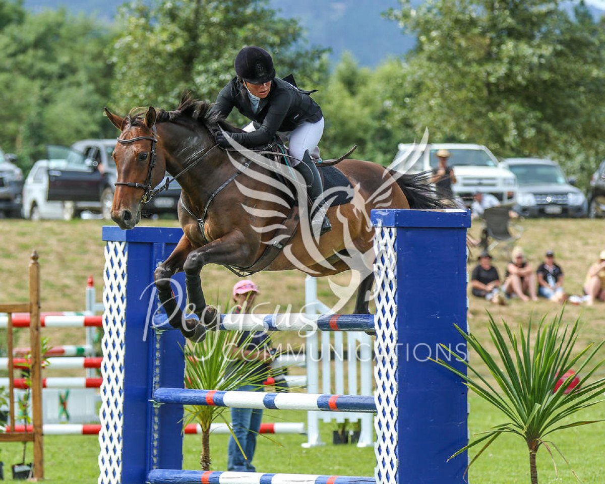 jumper Can't Touch This (Selle Français, 2011, from Untouchable M)