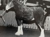 broodmare Maple Stone Verna Ruth (Clydesdale, 1999, from Doura Sensation)