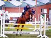 Zuchtstute Zalimba Di Luna 3 (Irish Sport Horse, 2010, von Zidane)