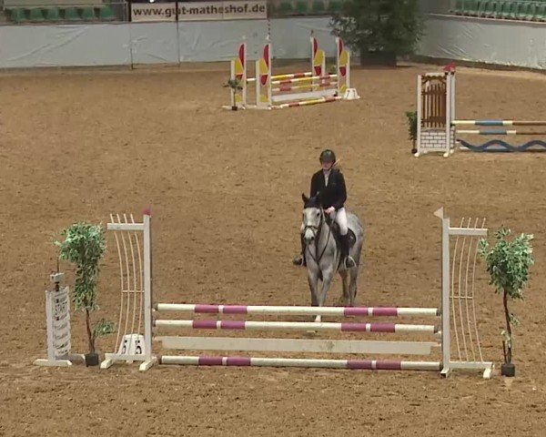 Reitturnier Kreuth/Opf. 2025