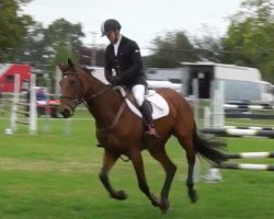 broodmare Vidal (New Zealand Warmblood, 2008, from Pezetas du Rouet)