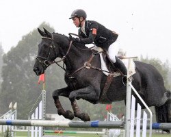 Pferd Toblerone (Neuseeländisches Warmblut, 2006, von Oberon du Moulin)