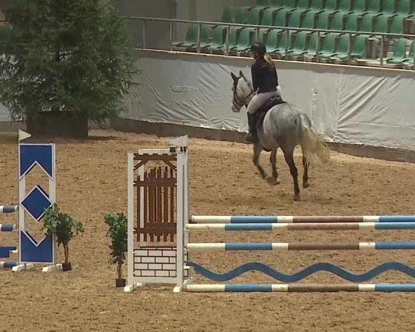 Reitturnier Kreuth/Opf. 2025