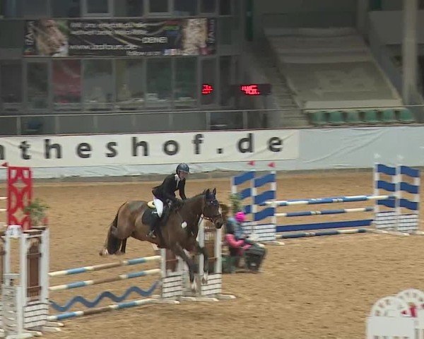 Reitturnier Kreuth/Opf. 2025