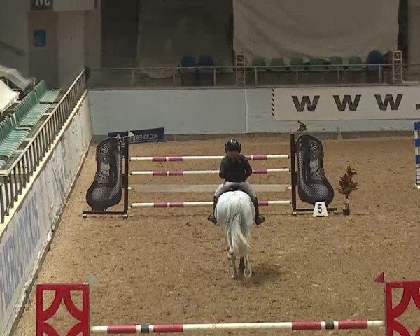Reitturnier Kreuth/Opf. 2025