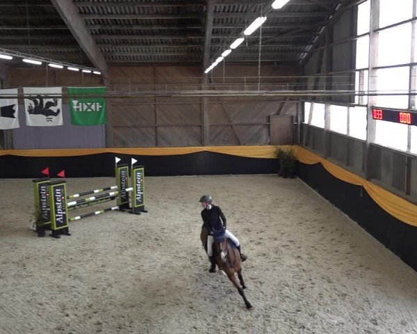 Reitturnier Erlen 2025