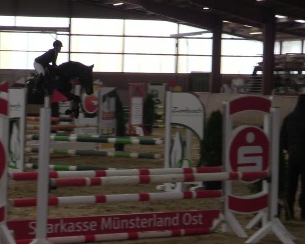 Reitturnier Ostenfelde-Vornholz 2025