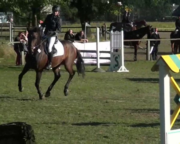 Herbstturnier RV Voerde e.V. 2013