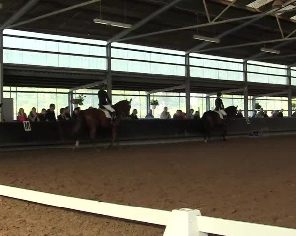 Herbstturnier RV Voerde e.V. 2013